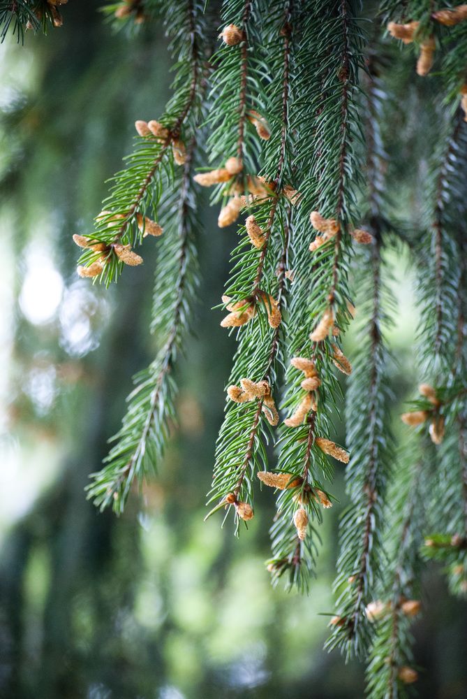 Photograph by Екатерина Екатерина