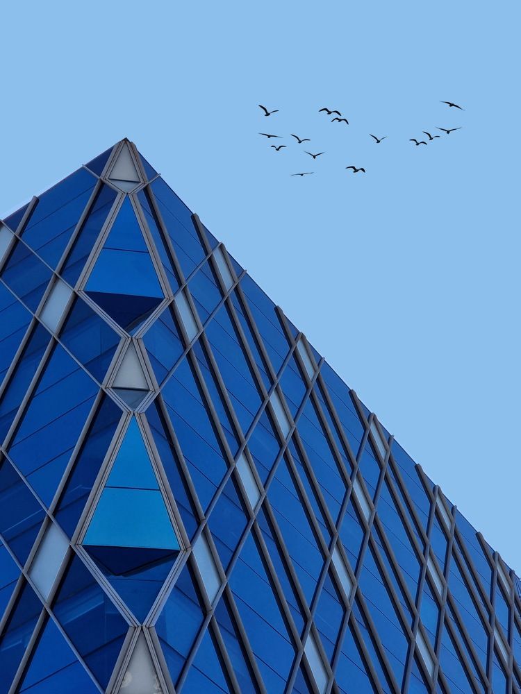 Photograph by Tajouj Hamadto