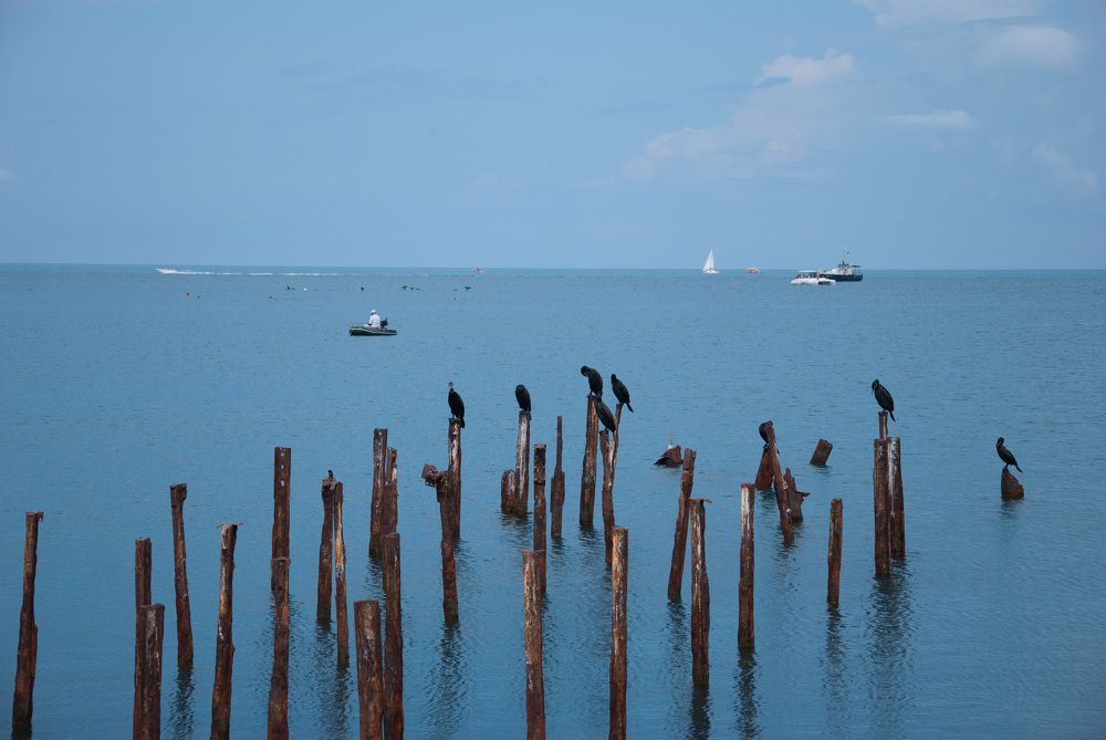 Photograph by Екатерина Екатерина