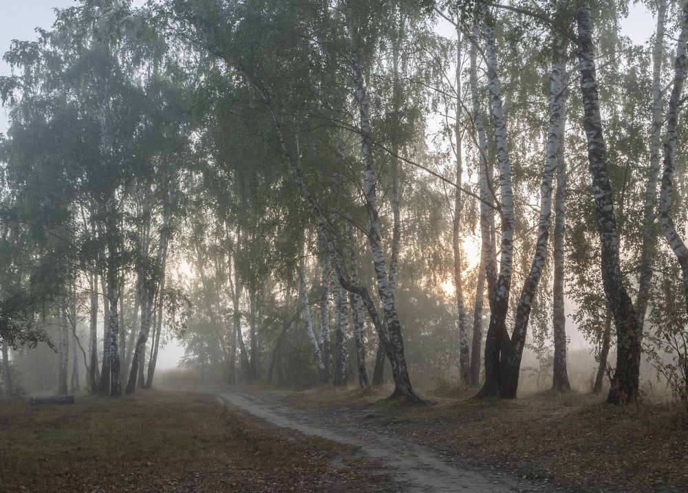Фотография автора Ольга Бонина