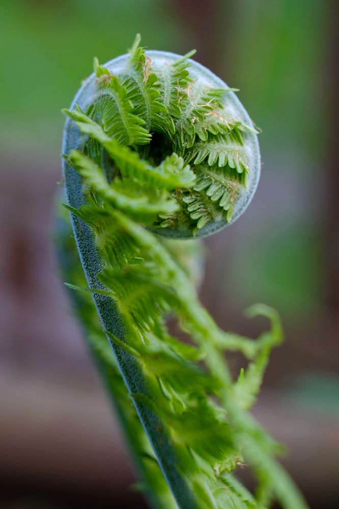 Фотография автора Александр Высоцкий