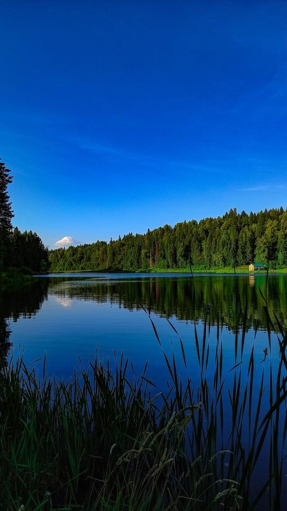 Photograph by Альбина Муртазина