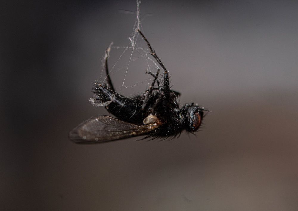 Photograph by Олег Каракин