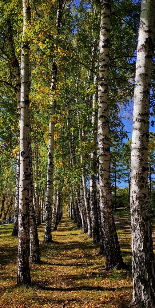 Photograph by Наталья Рау