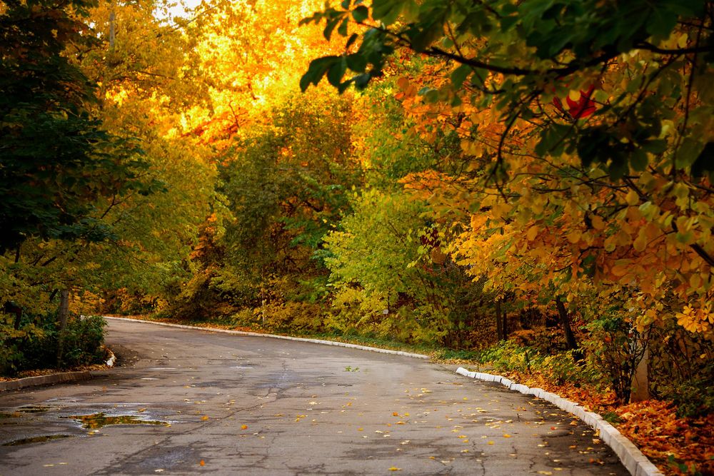 Photograph by Оксана Астрова