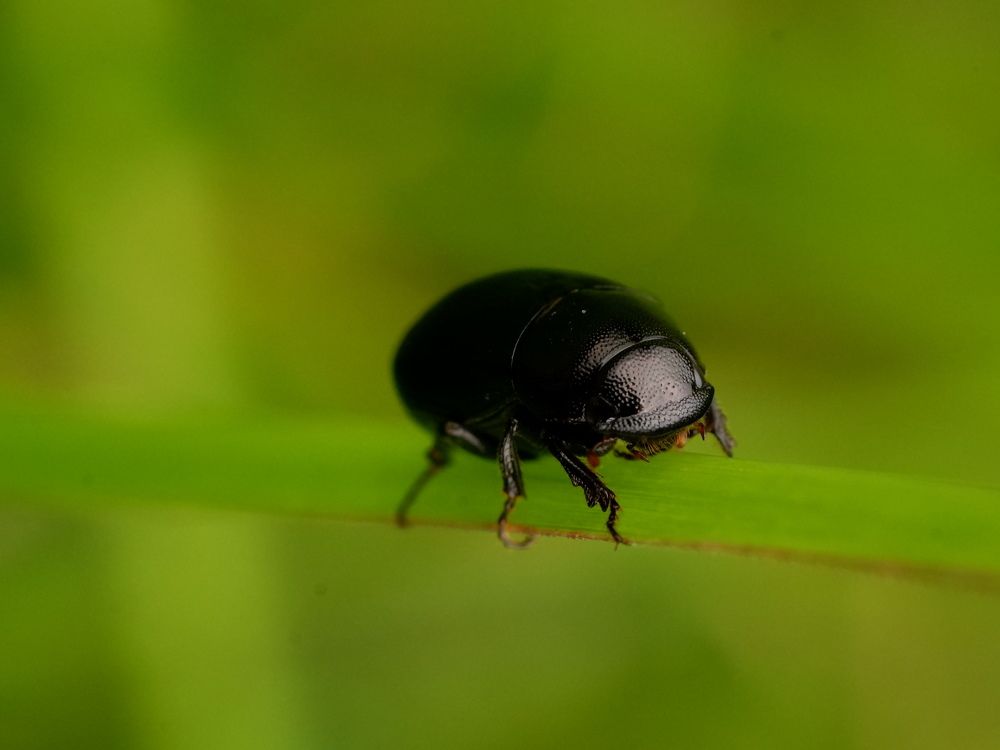 Фотография автора R. Zai