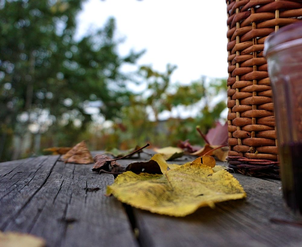 Photograph by Дмитрий Соколов