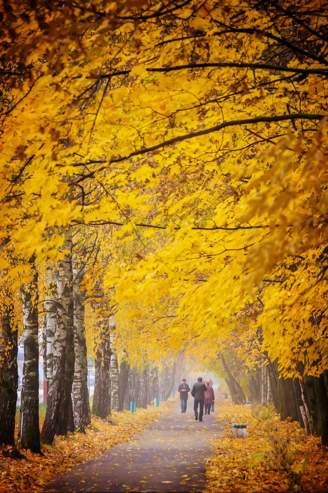 Photograph by Алексей Трифонов