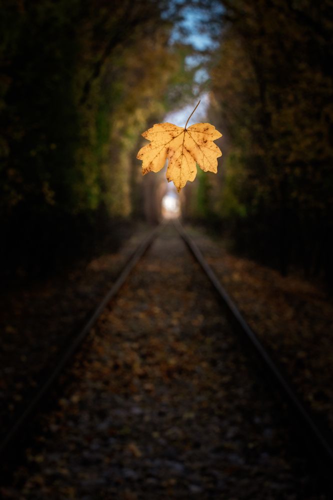 Photograph by Ovidiu Domşa