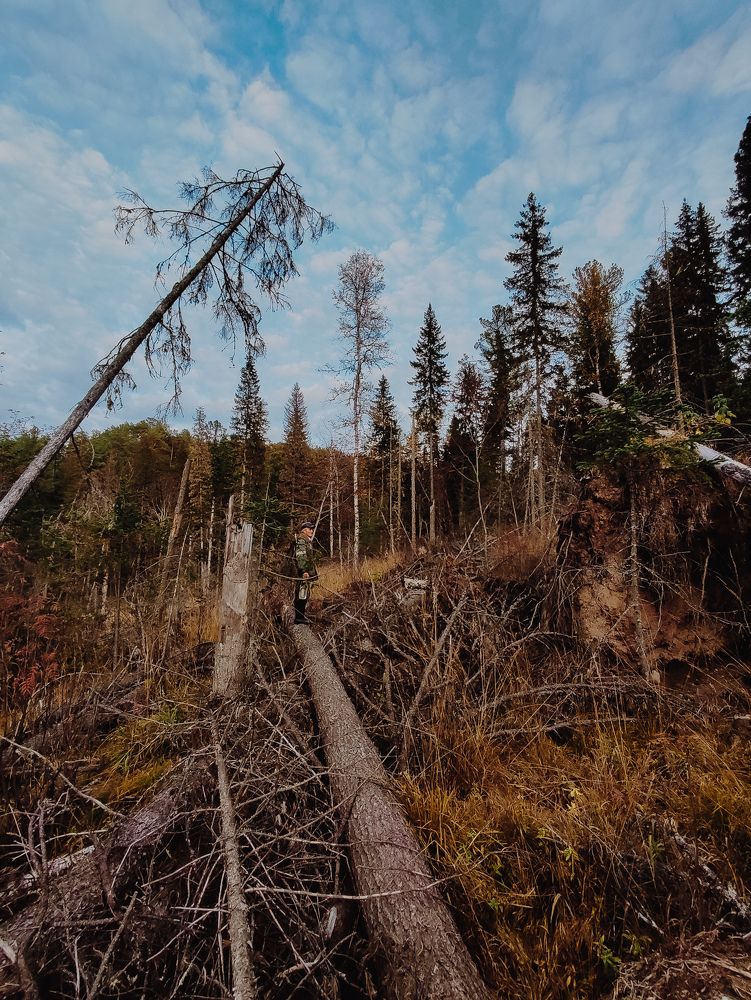 Photograph by Elena Kilina