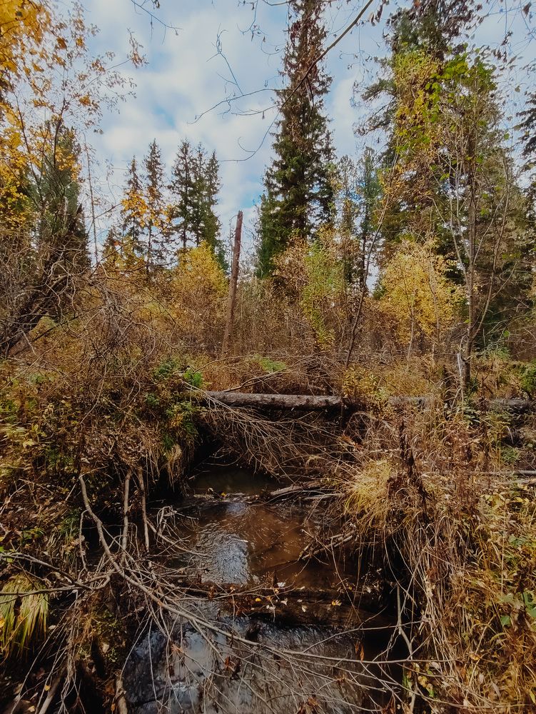 Photograph by Elena Kilina