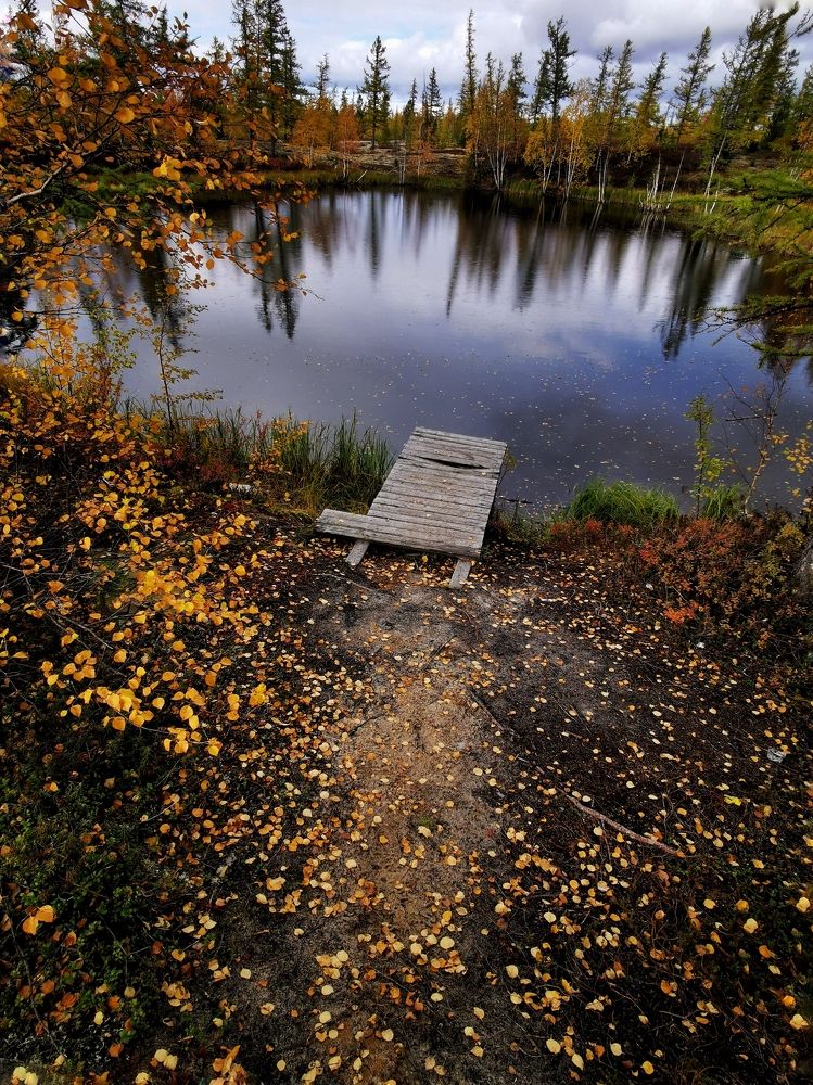 Photograph by Юлия Арестова