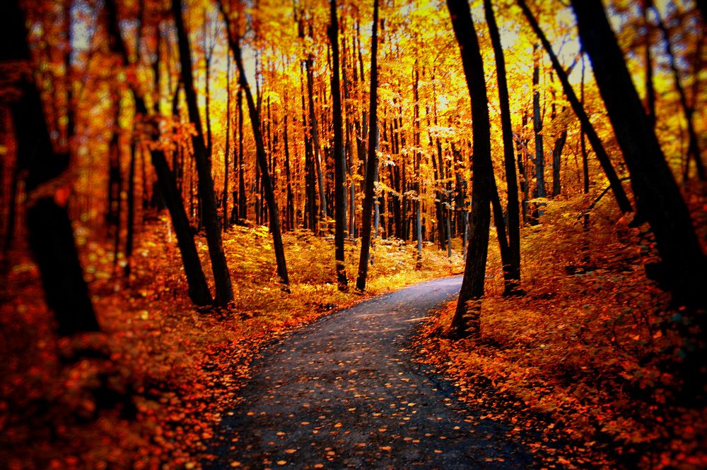 Photograph by Vitaliy Saposhnikov