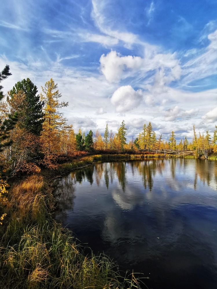 Photograph by Юлия Арестова