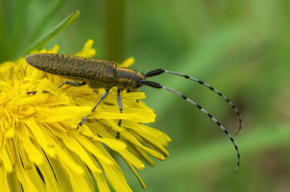 Photograph by Андрей Бурда