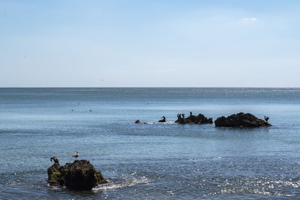 Photograph by FLORINDA LOREDANA CIURARU