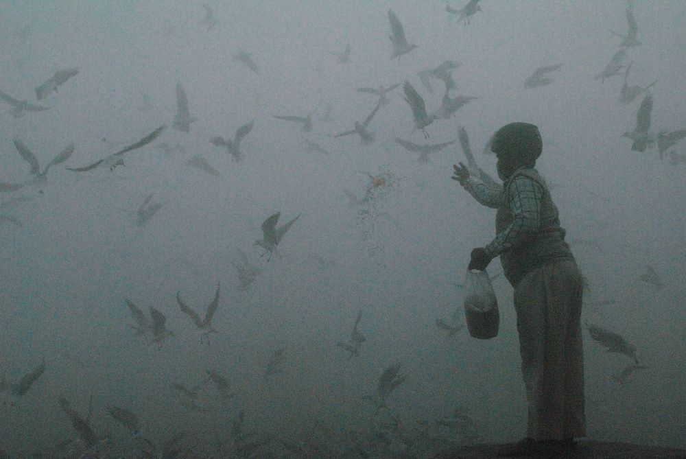 Photograph by DIKSHA DHOUNDIYAL