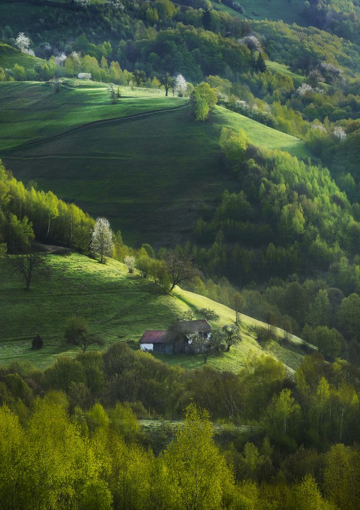 Photograph by Gabriela Vochescu