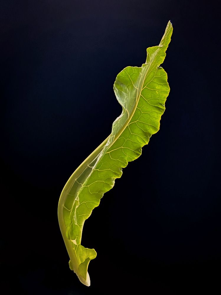 Photograph by Анна Адаменко