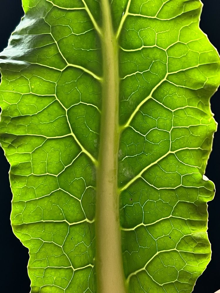 Photograph by Анна Адаменко