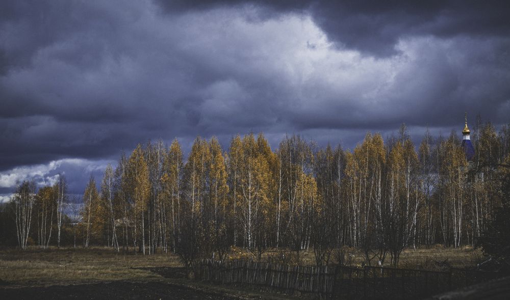 Photograph by Виталий Дрынов