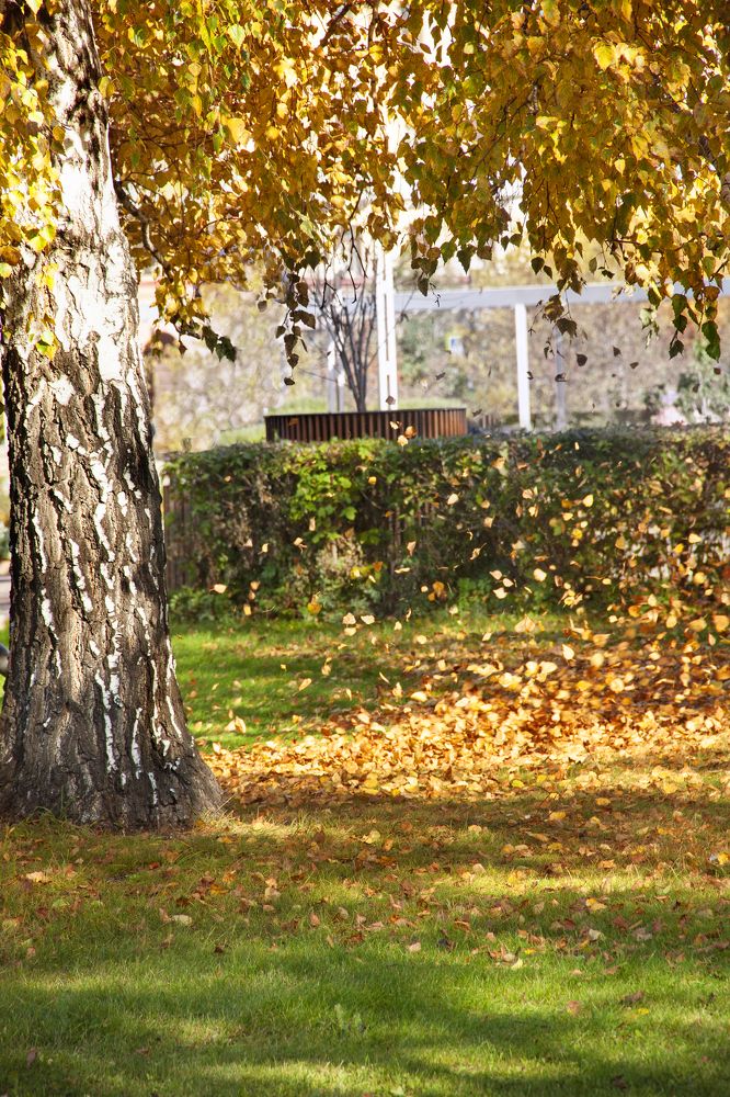 Photograph by Мария