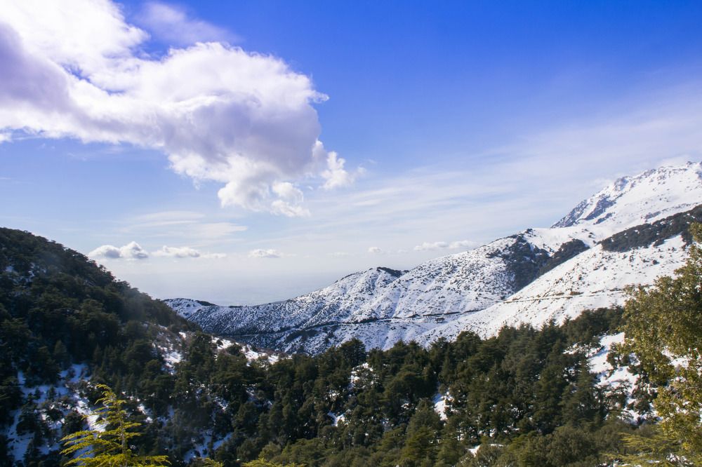 Photograph by samir rouabah