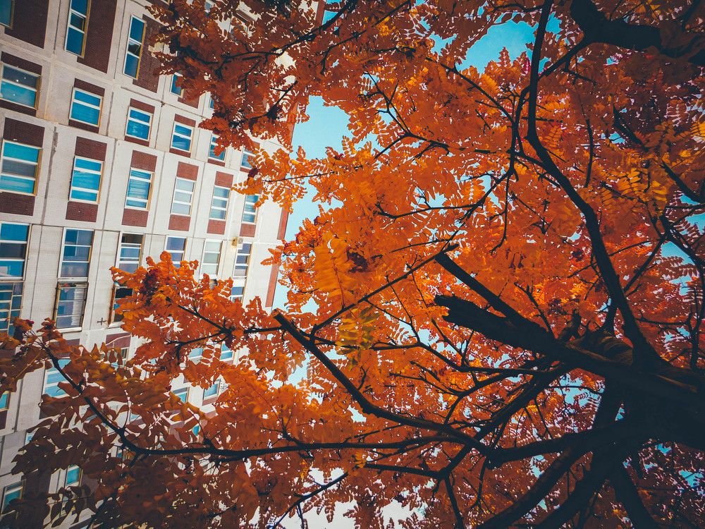 Photograph by Анна Сухарева