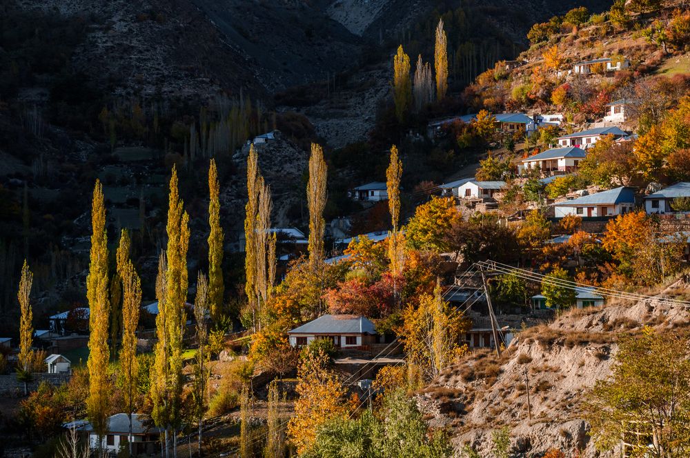 Autumn season Karimabad Oxhor, Lower Chitral, Khyber Pukhtunkhwa, Pakistan.