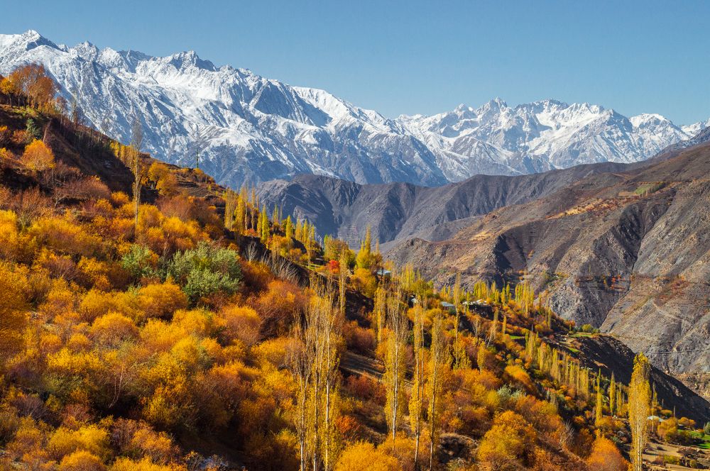 Autumn season at karimabad oxhor, chitral Pakistan