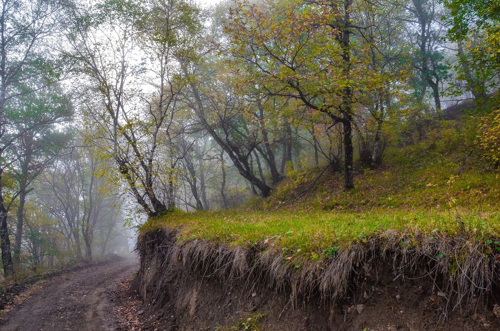 Photograph by Инна Гаджиева