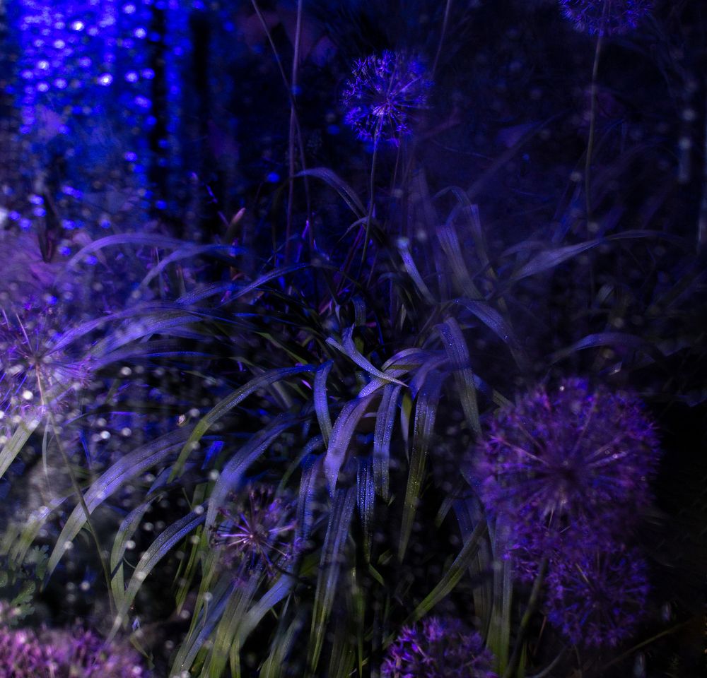 Photograph by Ольга Бакурская