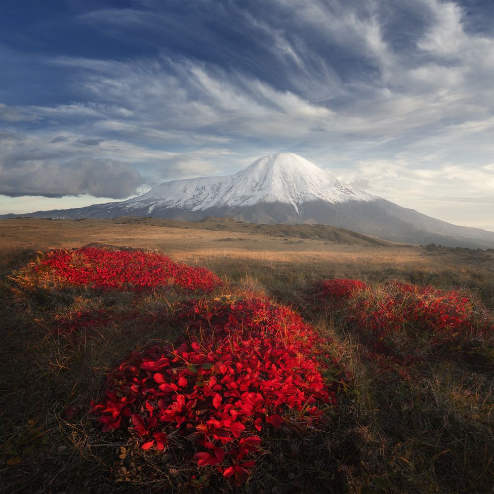 Fall Colors of Kamchatka