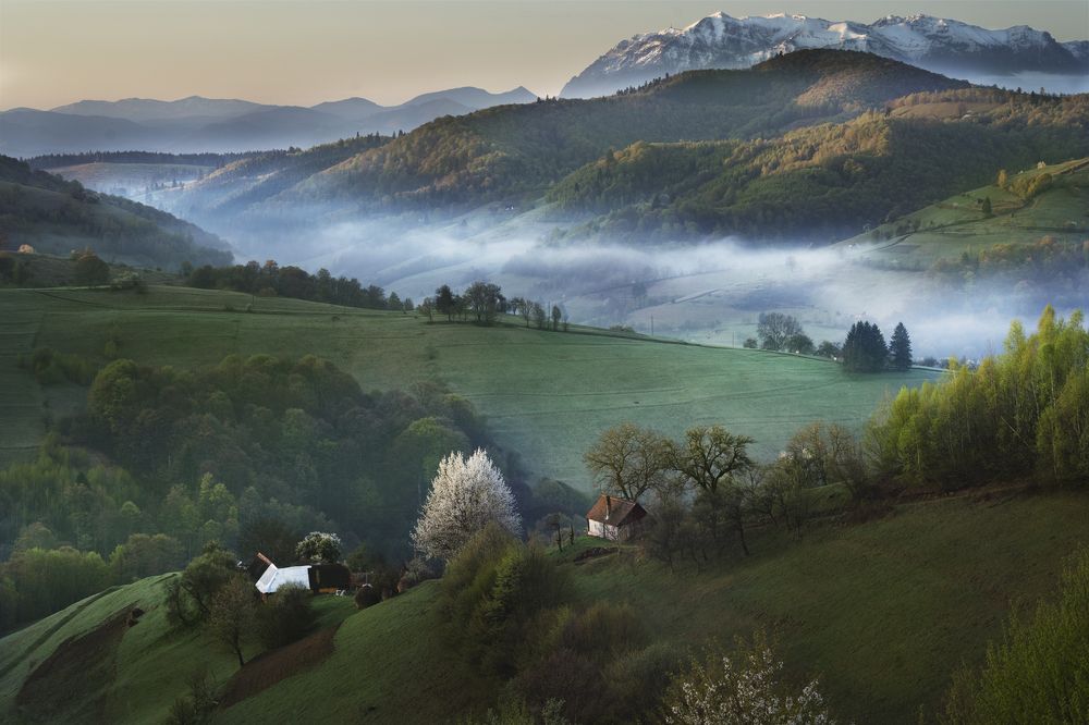 Photograph by Gabriela Vochescu