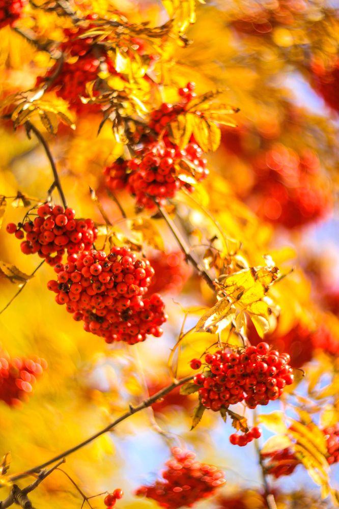 Photograph by Ольга Резникова