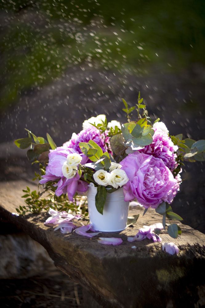 Photograph by Ольга Резникова