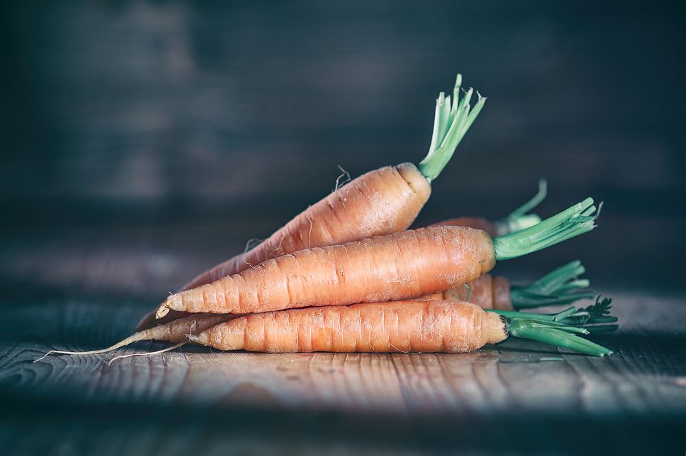 Photograph by Juri Vollenweider