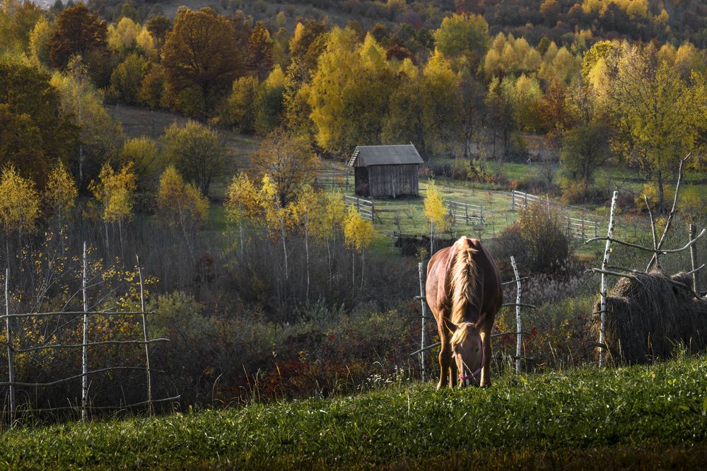 Photograph by Gabriela Vochescu