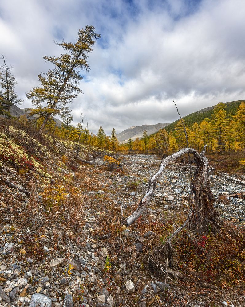 Photograph by Николай Андреев