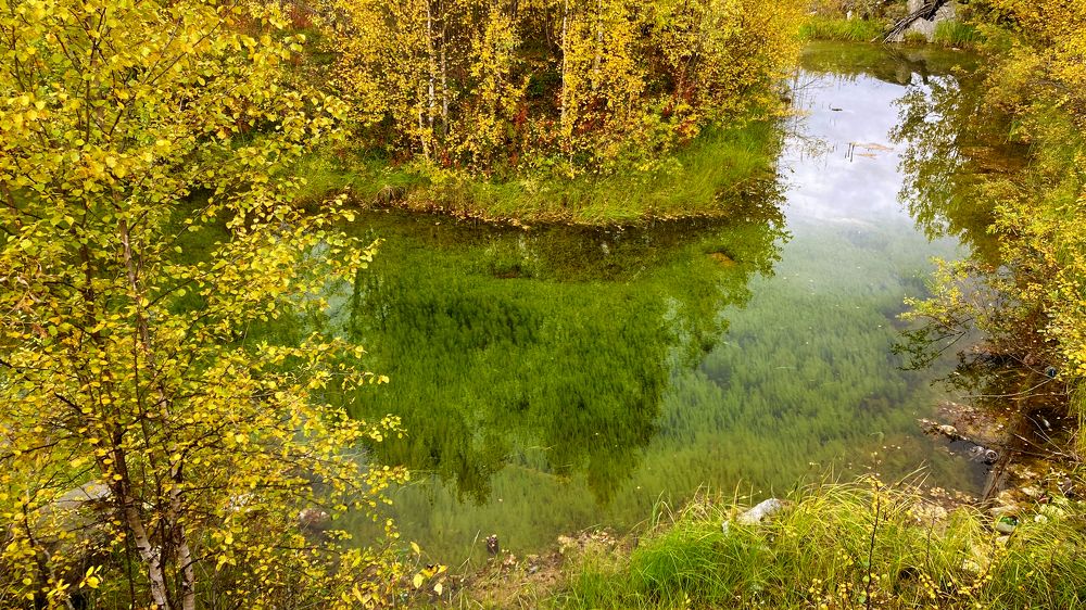 Photograph by Виталий Горюнов