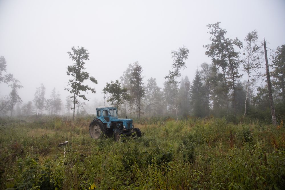 Photograph by Глеб Бухало