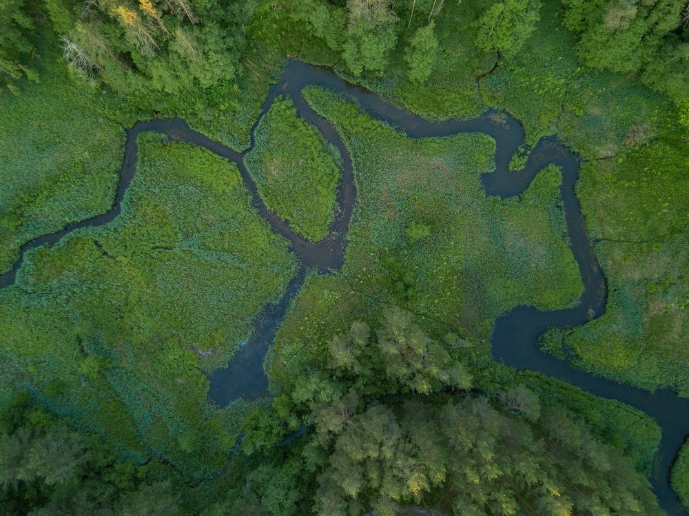 Photograph by Roman Dmitriev