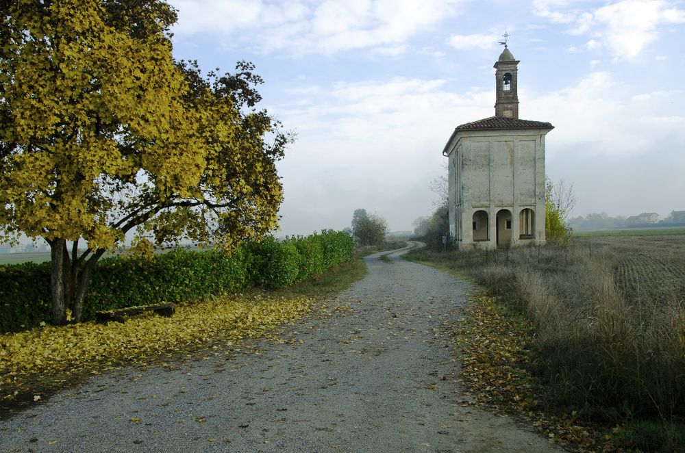 Photograph by Vincent Teriaca