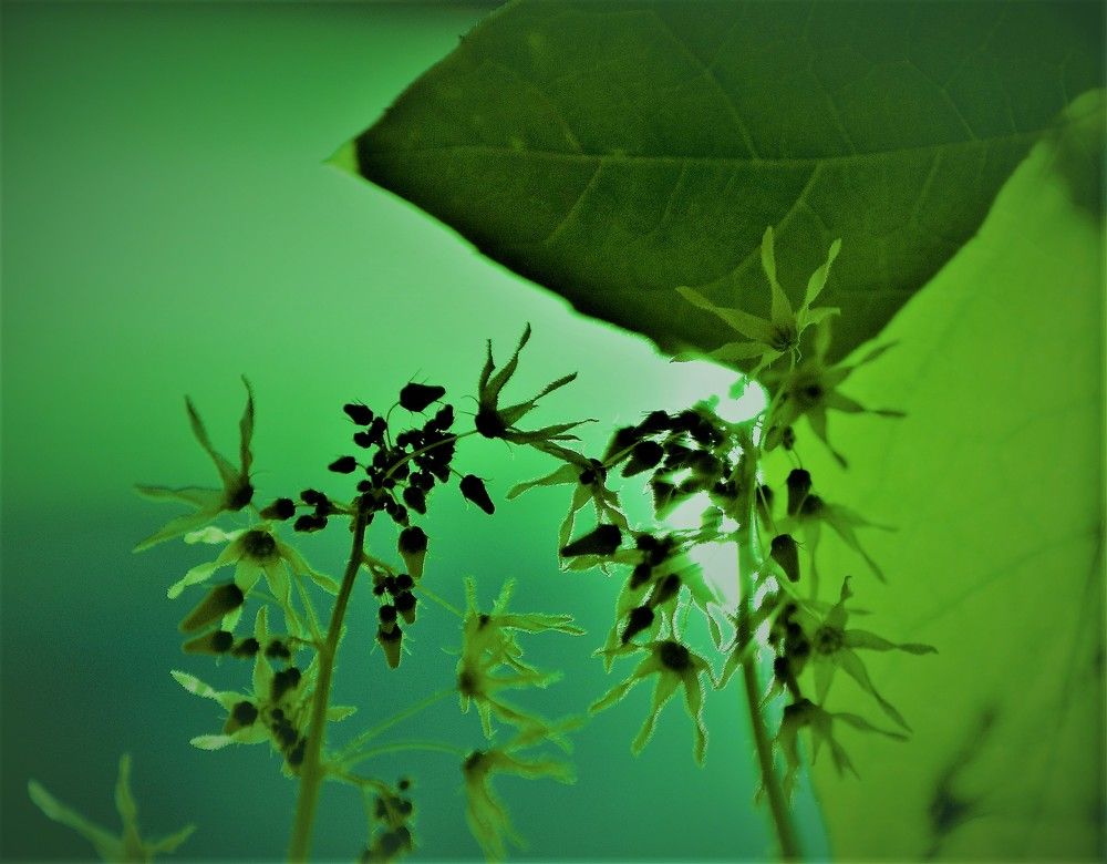 Photograph by Дмитрий Грысюк