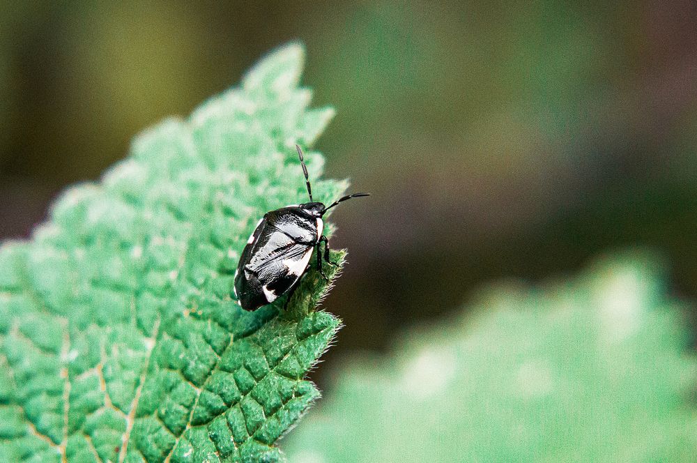 Photograph by Роман Яковенко