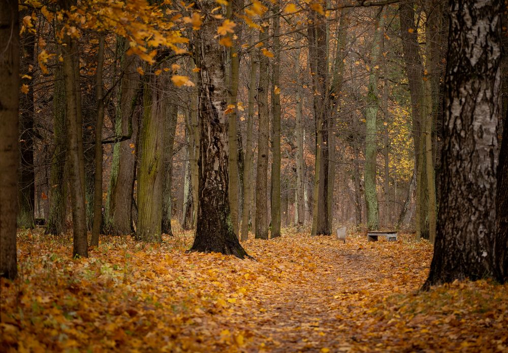 Photograph by Igor Makarov
