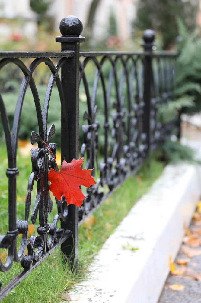 Photograph by Igor Makarov