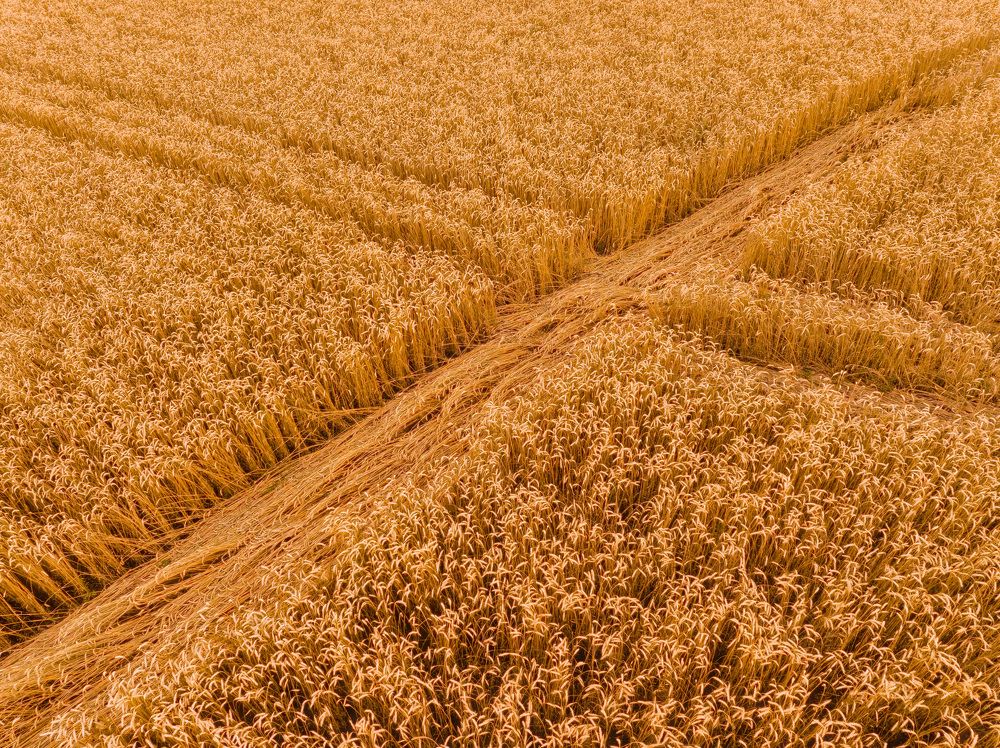 Фотография автора Евгений Кожин
