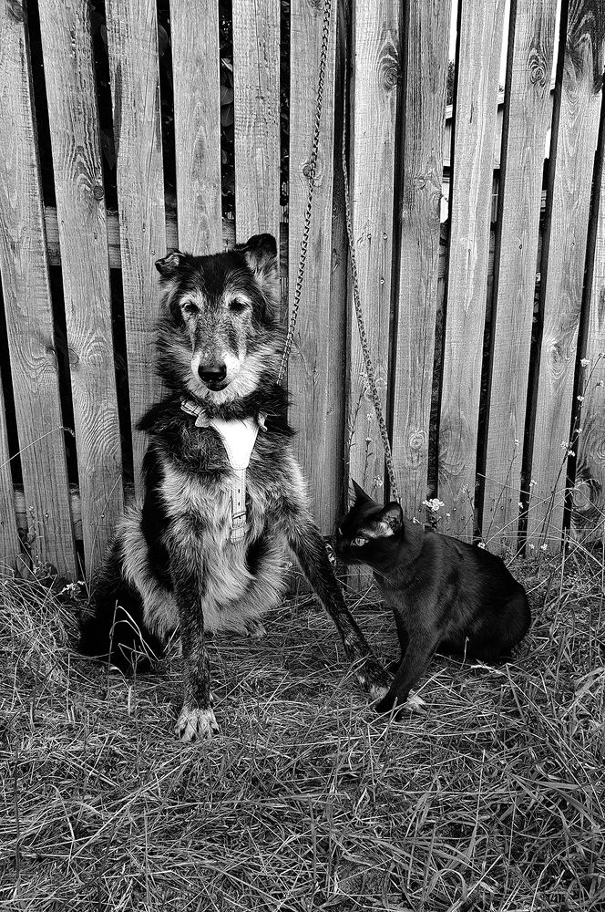 Фотография автора Надежда Лисицына