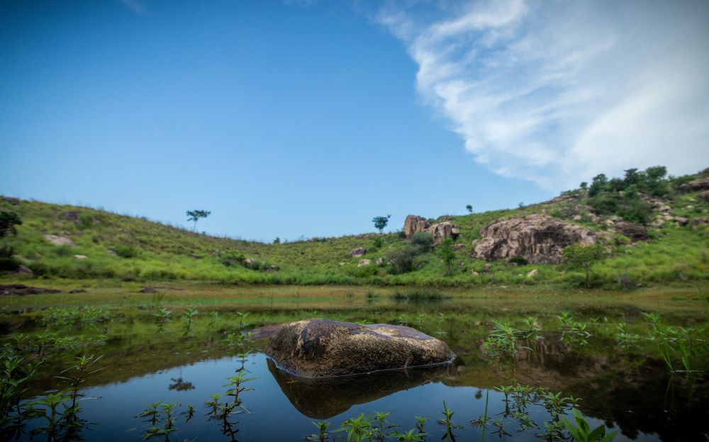 Photograph by Basha Ameen